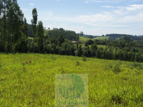 Imagem Imóvel com 3 Quartos à Venda, 220.000 m² em Zona Rural - Jacui