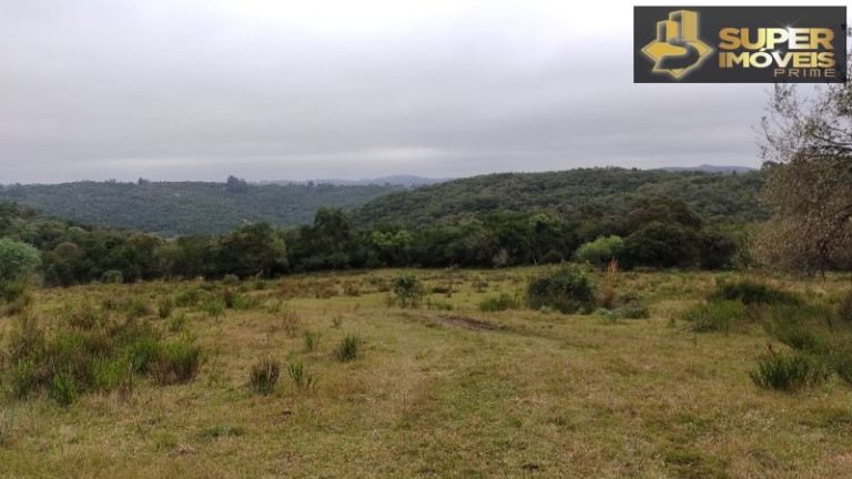 Imóvel com 4 Quartos à Venda, 2.600.000 m² em Centro - Canguçu
