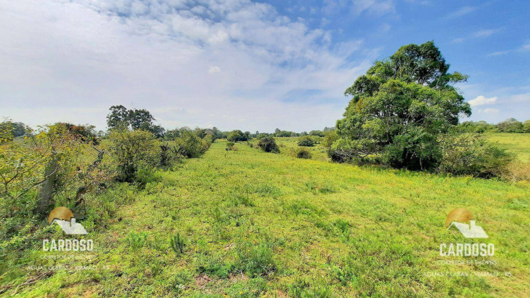 Imagem Fazenda à Venda, 20.000 m² em Morro Grande - Viamão Imagem Fazenda à Venda, 20.000 m² em Morro Grande - Viamão