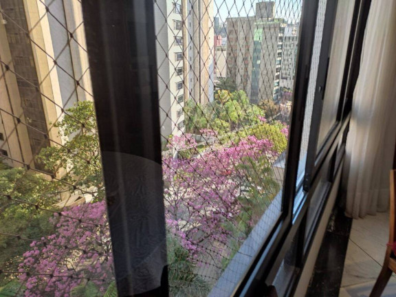 Imagem Apartamento com 4 Quartos à Venda, 390 m² em Lourdes - Belo Horizonte