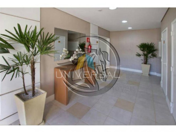 Imagem Apartamento com 3 Quartos à Venda, 61 m² em Vila Formosa - Sao Paulo Imagem Apartamento com 3 Quartos à Venda, 61 m² em Vila Formosa - Sao Paulo