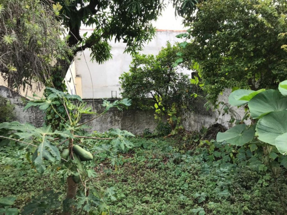 Imagem Terreno à Venda, 375 m² em Lauzane Paulista - São Paulo