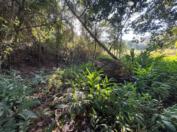 Imagem Chácara à Venda, 4 m² em Vieiras - Itatiaiuçu Imagem Chácara à Venda, 4 m² em Vieiras - Itatiaiuçu