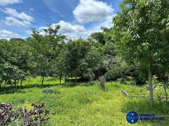 Imagem Chácara à Venda, 40 m² em Zona Rural - Petrolina De Goiás Imagem Chácara à Venda, 40 m² em Zona Rural - Petrolina De Goiás
