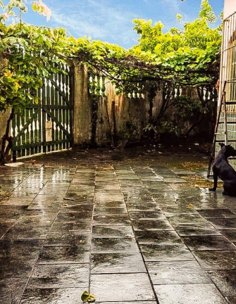 Imagem Casa com 2 Quartos à Venda, 150 m² em Jardim Praia Grande - Mongaguá Imagem Casa com 2 Quartos à Venda, 150 m² em Jardim Praia Grande - Mongaguá