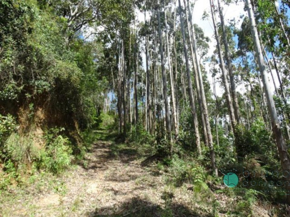 Imagem Imóvel à Venda, em Zona Rural - Alfredo Wagner Imagem Imóvel à Venda, em Zona Rural - Alfredo Wagner