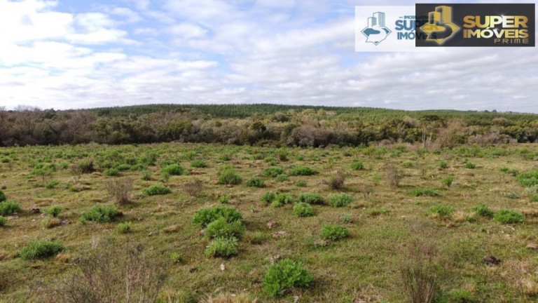 Imagem Imóvel com 2 Quartos à Venda, 580.000 m² em Centro - Canguçu