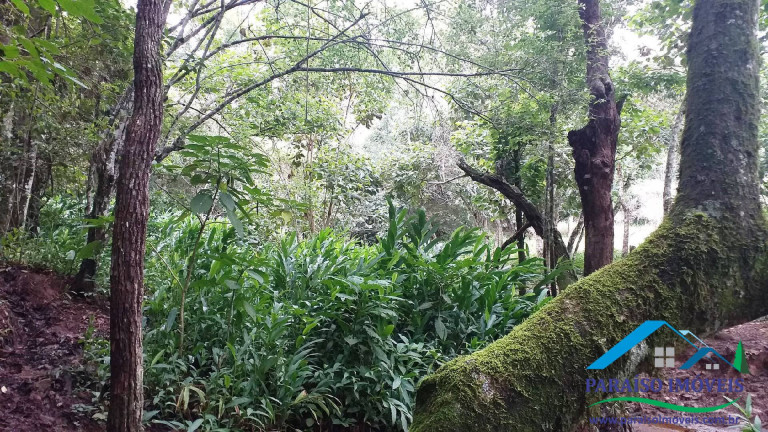 Imagem Chácara à Venda, 7 m² em Centro - Paraisópolis