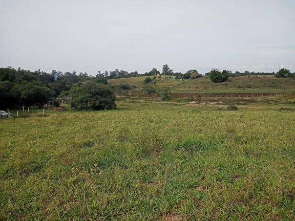 Imagem Chácara à Venda, 10.000 m² em águas Claras - Viamão
