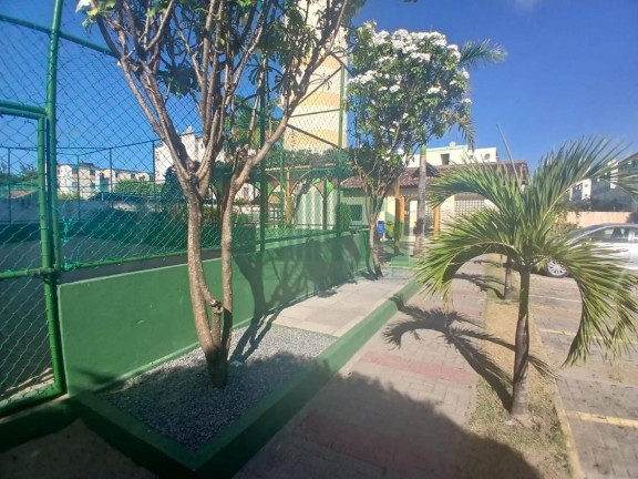 Imagem Apartamento com 2 Quartos à Venda, 47 m² em Janga - Paulista