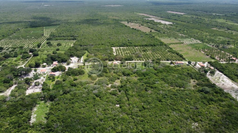 Imagem Fazenda à Venda, 60.000 m² em Córrego Do Moreira - Beberibe Imagem Fazenda à Venda, 60.000 m² em Córrego Do Moreira - Beberibe
