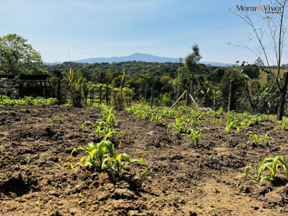 Imagem Chácara à Venda, 6.300 m² em Zona Rural - Tijucas Do Sul