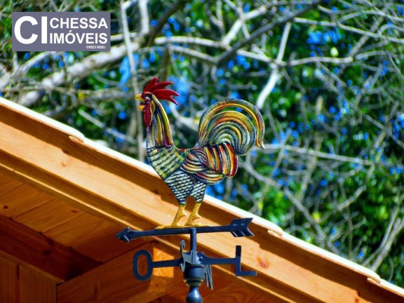 Imagem Chácara com 6 Quartos à Venda, 450 m² em Mariscal - Bombinhas Imagem Chácara com 6 Quartos à Venda, 450 m² em Mariscal - Bombinhas