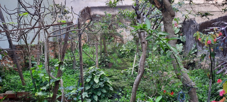 Imagem Casa com 3 Quartos à Venda, 250 m² em Vila Guarani (z Sul) - São Paulo