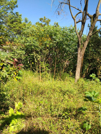 Imagem Terreno à Venda, 240 m² em Taboão - São Bernardo Do Campo