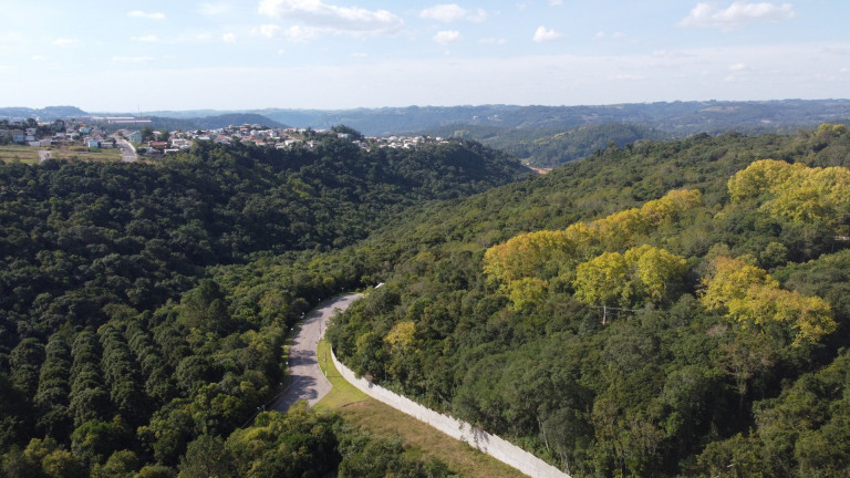 Imagem Terreno à Venda, 2.159 m² em Santo Antao - Bento Gonçalves