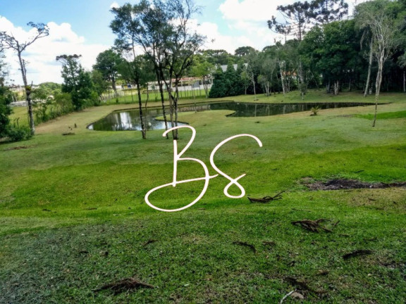 Imagem Imóvel com 2 Quartos à Venda, 30.000 m² em Centro - Gramado Imagem Imóvel com 2 Quartos à Venda, 30.000 m² em Centro - Gramado