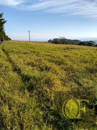 Imagem Fazenda à Venda, 120 m² em Rural - Torrinha Imagem Fazenda à Venda, 120 m² em Rural - Torrinha