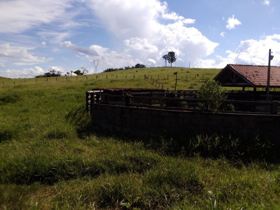 Imagem Chácara com 5 Quartos à Venda, 200 m² em Vila Santos - Caçapava Imagem Chácara com 5 Quartos à Venda, 200 m² em Vila Santos - Caçapava