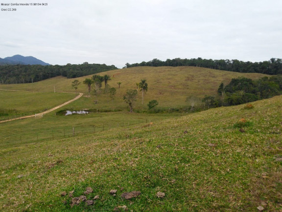 Imagem Imóvel com 3 Quartos à Venda, 1.936.000 m² em Pariquera-acu - Pariquera-acu Imagem Imóvel com 3 Quartos à Venda, 1.936.000 m² em Pariquera-acu - Pariquera-acu