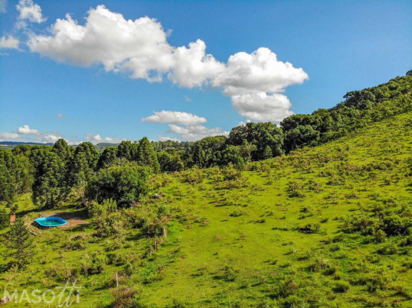 Imagem Chácara à Venda, 65.000 m² em Eletra - São Francisco De Paula Imagem Chácara à Venda, 65.000 m² em Eletra - São Francisco De Paula