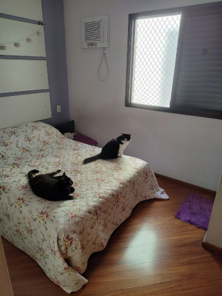 Imagem Imóvel com 2 Quartos à Venda, 55 m² em Saúde - São Paulo Imagem Imóvel com 2 Quartos à Venda, 55 m² em Saúde - São Paulo