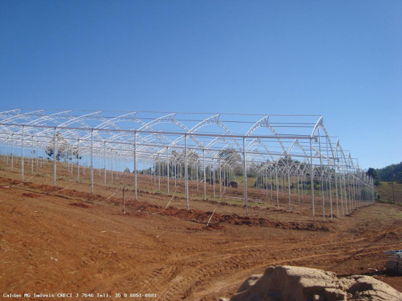 Imagem Chácara com 8 Quartos à Venda, 21.000 m² em Zona Rural - Caldas Imagem Chácara com 8 Quartos à Venda, 21.000 m² em Zona Rural - Caldas