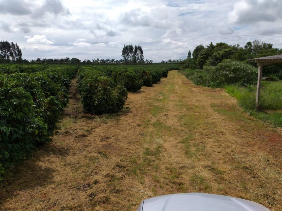 Imagem Fazenda à Venda, 248 m² em Ribeirão Preto Imagem Fazenda à Venda, 248 m² em Ribeirão Preto