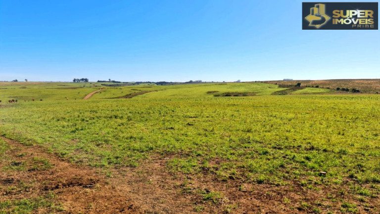 Imóvel à Venda, 1.880.000 m² em área Rural De Bagé - Bagé