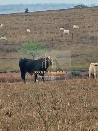 Imagem Fazenda à Venda, 60 m² em área Rural - Pedranópolis Imagem Fazenda à Venda, 60 m² em área Rural - Pedranópolis