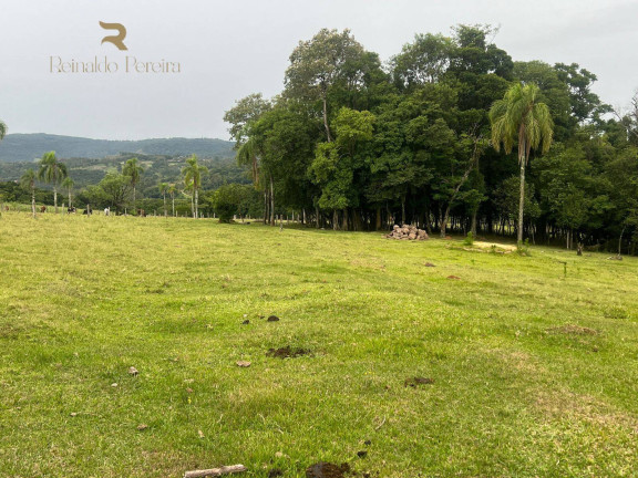 Imagem Chácara com 2 Quartos à Venda, 32.000 m² em Fazenda Fialho - Taquara Imagem Chácara com 2 Quartos à Venda, 32.000 m² em Fazenda Fialho - Taquara