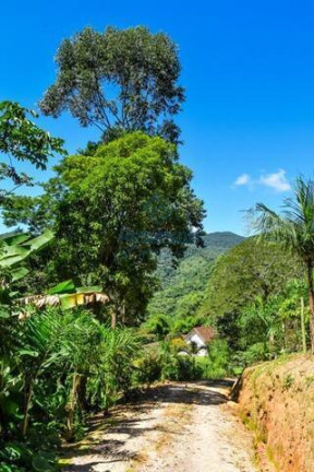 Imagem Chácara com 7 Quartos à Venda, 148.918 m² em Braço - Camboriú Imagem Chácara com 7 Quartos à Venda, 148.918 m² em Braço - Camboriú