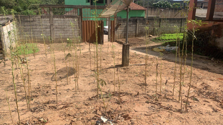 Imagem Terreno à Venda, 250 m² em Verônica - Ribeirão Das Neves