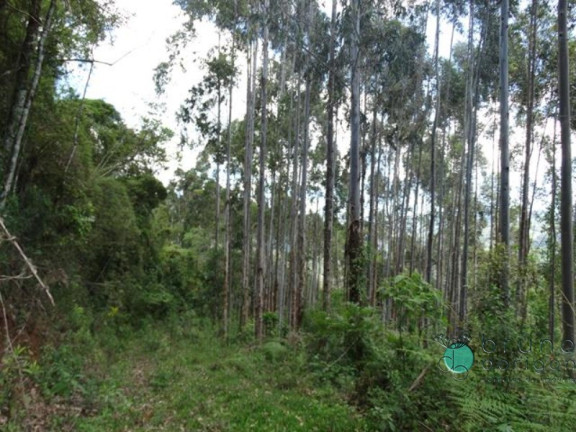 Imagem Imóvel à Venda, em Zona Rural - Alfredo Wagner Imagem Imóvel à Venda, em Zona Rural - Alfredo Wagner