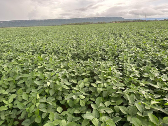 Imagem Fazenda à Venda, 9.700 m² em Rural - Pontes E Lacerda