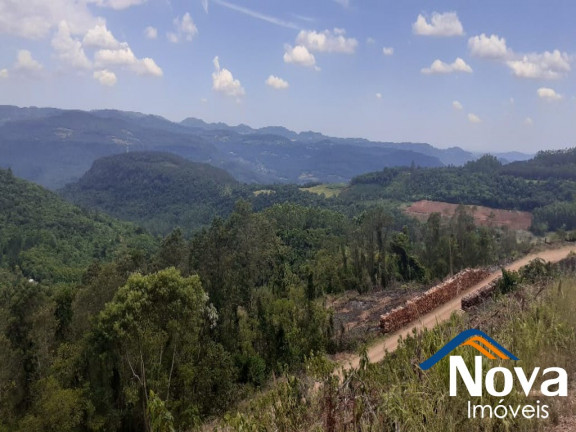 Imagem Imóvel à Venda, em Linha Olinda - Nova Petrópolis Imagem Imóvel à Venda, em Linha Olinda - Nova Petrópolis