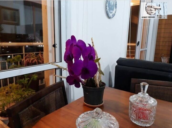 Imagem Apartamento com 3 Quartos à Venda, 104 m² em Lauzane Paulista - São Paulo Imagem Apartamento com 3 Quartos à Venda, 104 m² em Lauzane Paulista - São Paulo