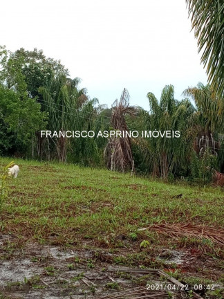 Imagem Imóvel com 2 Quartos à Venda, em Rural - Canavieiras Imagem Imóvel com 2 Quartos à Venda, em Rural - Canavieiras