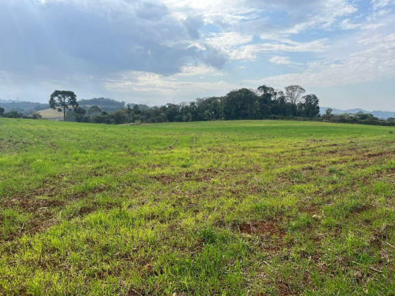 Imagem Terreno à Venda, 30.000 m² em Rural - Concórdia Imagem Terreno à Venda, 30.000 m² em Rural - Concórdia