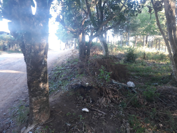 Imagem Terreno à Venda, 1.000 m² em Ortizes - Piedade Imagem Terreno à Venda, 1.000 m² em Ortizes - Piedade
