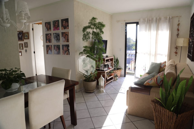 Imagem Apartamento com 3 Quartos à Venda, 69 m² em Jardim Santo Amaro - São Paulo Imagem Apartamento com 3 Quartos à Venda, 69 m² em Jardim Santo Amaro - São Paulo