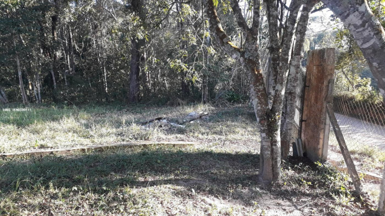 Imagem Imóvel à Venda, 500 m² em Vila Caputera - Mogi Das Cruzes