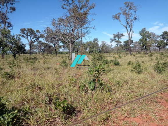 Imagem Fazenda à Venda, 25 m² em Zona Rural - Curvelo Imagem Fazenda à Venda, 25 m² em Zona Rural - Curvelo