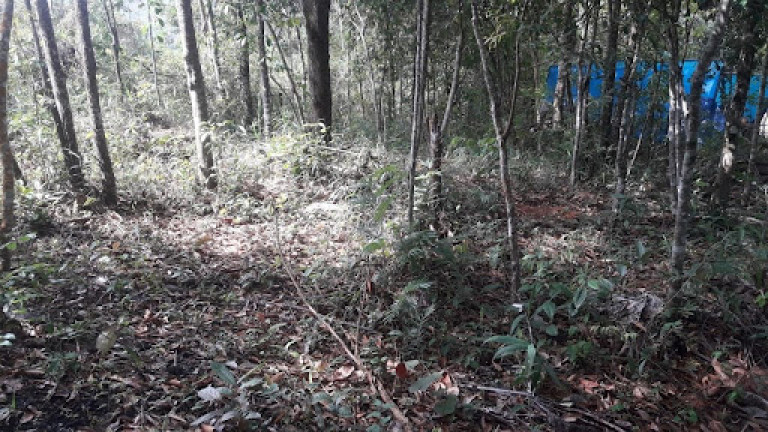 Imagem Terreno em Condomínio à Venda, 5.000 m² em Jardim Petrópolis - Nova Lima Imagem Terreno em Condomínio à Venda, 5.000 m² em Jardim Petrópolis - Nova Lima