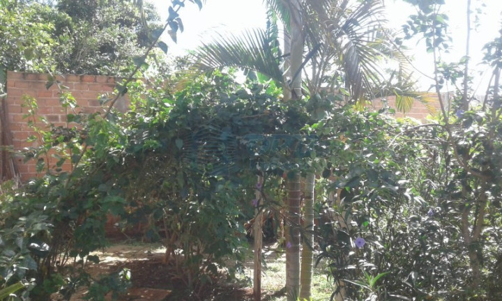 Imagem Imóvel à Venda, em Rural - Jardinopolis Imagem Imóvel à Venda, em Rural - Jardinopolis