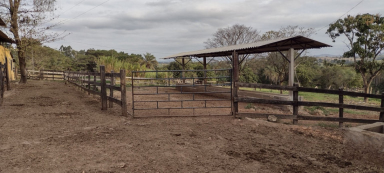Imagem Fazenda à Venda, 100 m² em São Francisco - Passos Imagem Fazenda à Venda, 100 m² em São Francisco - Passos