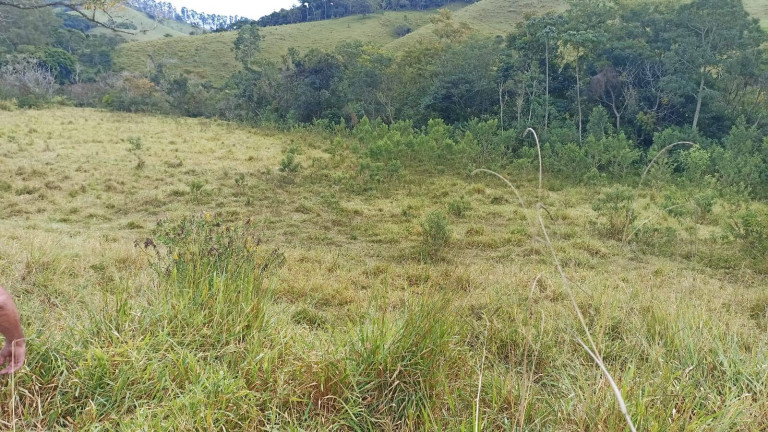 Imagem Fazenda à Venda, 200 m² em Lajeado - Paraibuna Imagem Fazenda à Venda, 200 m² em Lajeado - Paraibuna