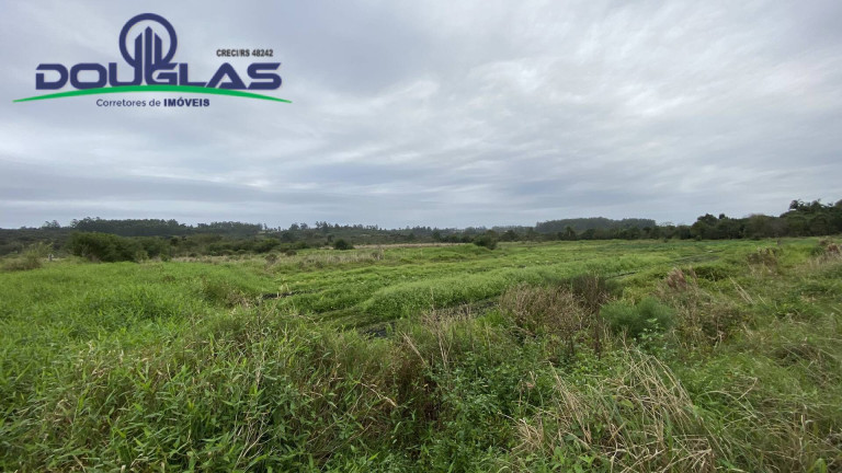 Imagem Chácara à Venda, em águas Claras - Viamão Imagem Chácara à Venda, em águas Claras - Viamão