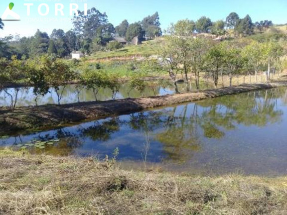 Imagem Imóvel com 4 Quartos à Venda, 200 m² em Centro - Piedade Imagem Imóvel com 4 Quartos à Venda, 200 m² em Centro - Piedade