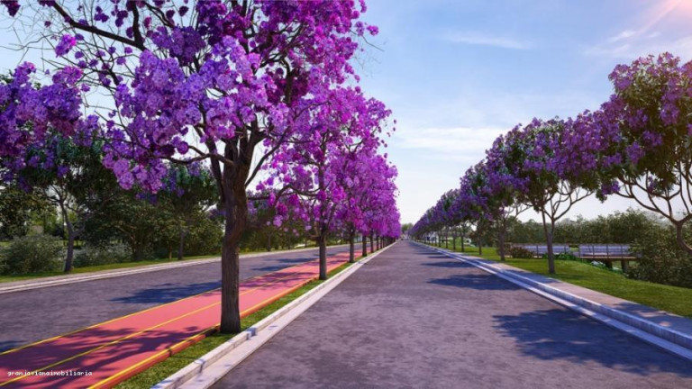 Imagem Terreno à Venda, 500.000 m² em Florada Raizes - Cotia Imagem Terreno à Venda, 500.000 m² em Florada Raizes - Cotia